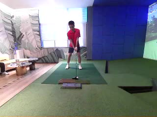 onegolf