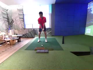 onegolf