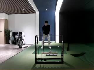 大树