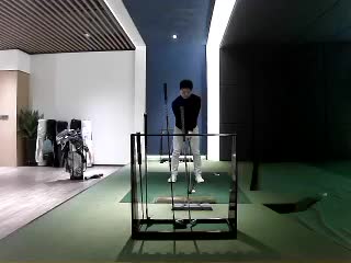 大树