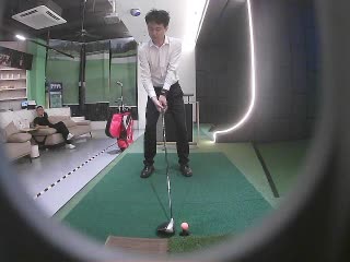 楊