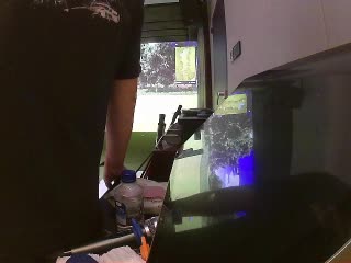 珊