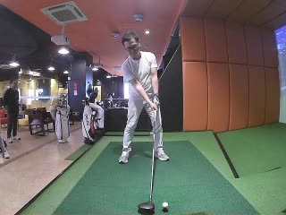 Lee88