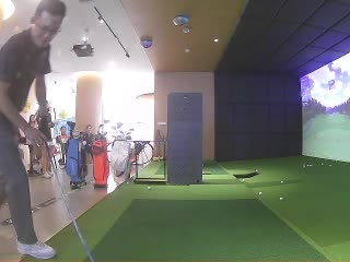 楊