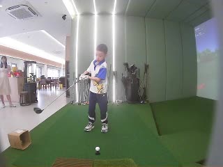 银衫雀