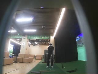 蔡蔡