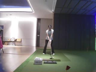 雙子文