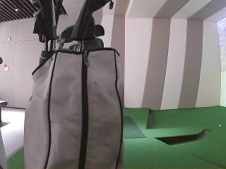 陈婷
