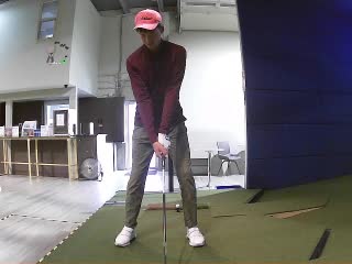 Tigerxie