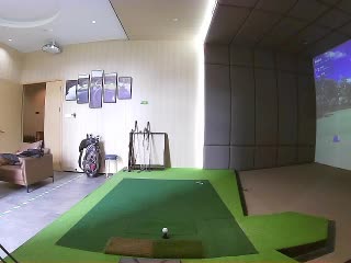 田成有