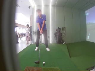 银衫雀