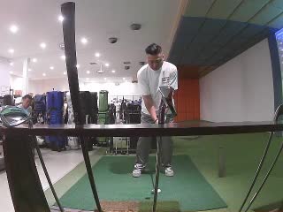 柳