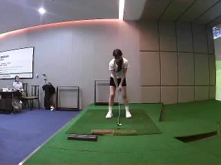四條