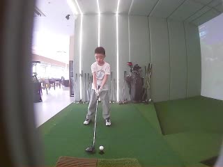 银衫雀
