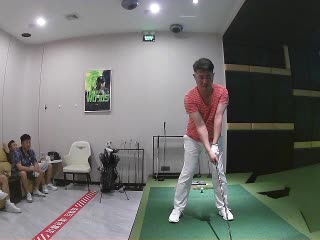 樸