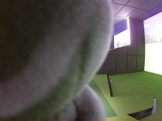 上海能百高爾夫