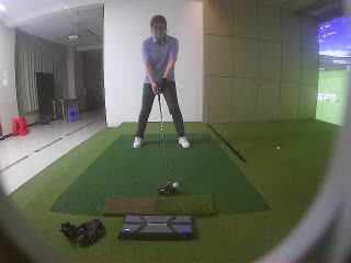 陳豚豚