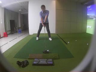 陳豚豚