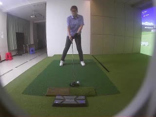 陳豚豚