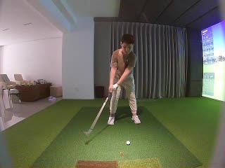 Wutong