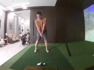 满天飞的鹰
