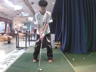 楊