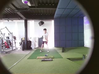fly