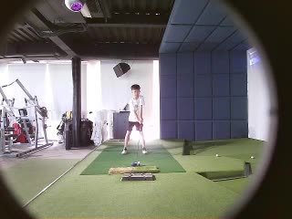 fly
