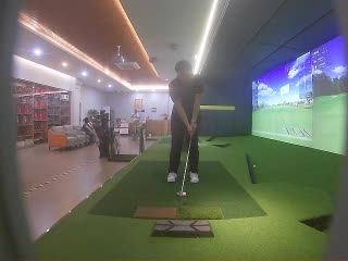 只与修狗互动
