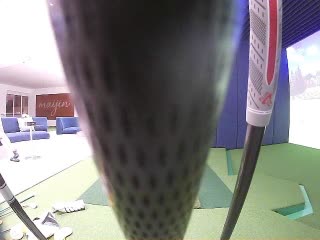 段懿桐