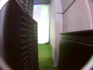小白球