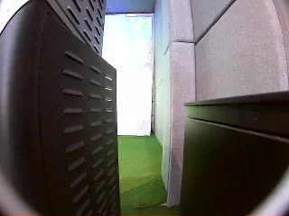 小白球