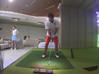 賀鷹