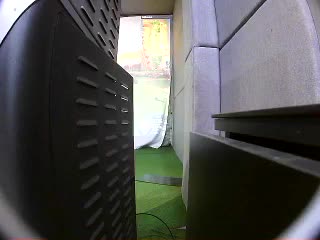陈坤