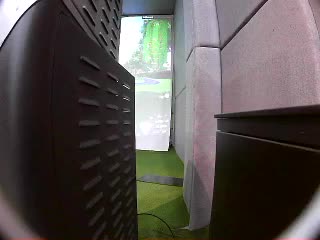 陈坤