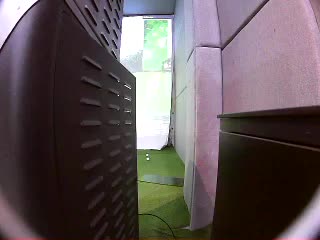陈坤