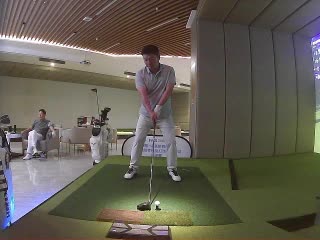 賀鷹