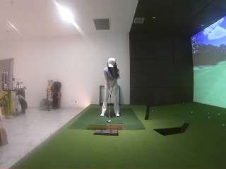 叶子