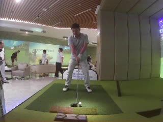 賀鷹