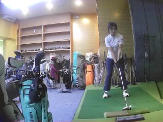 不试挥