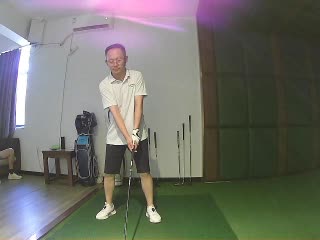 银杏