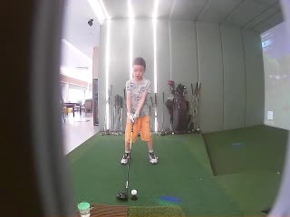 银衫雀