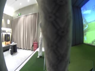 33