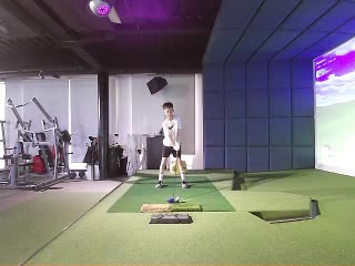 fly