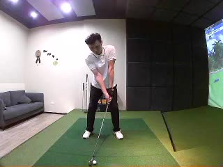 葉森林