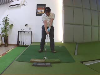 常春藤