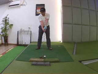 常春藤