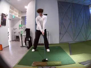 羅羅伊