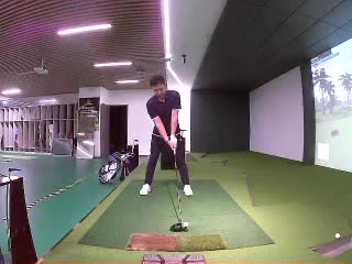 VIP16