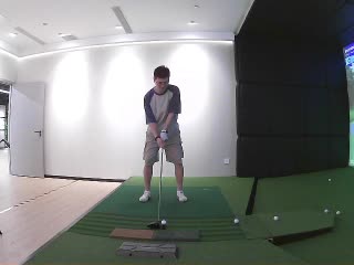 小野鸡